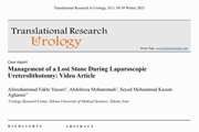 Management of a Lost Stone During Laparoscopic Ureterolithotomy: Video Article